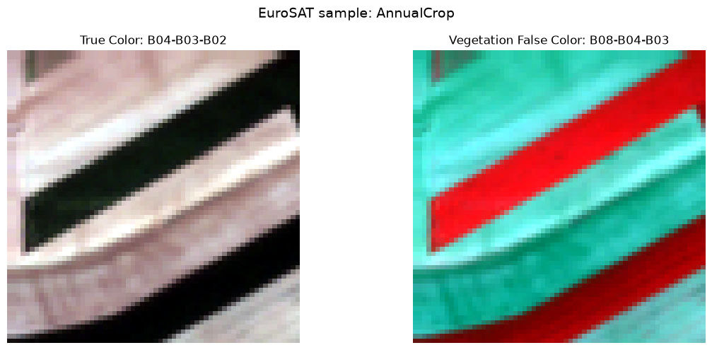 AnnualCrop 样本的真彩色与植被假彩色
