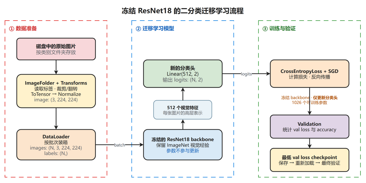 冻结 ResNet18 的二分类迁移学习流程