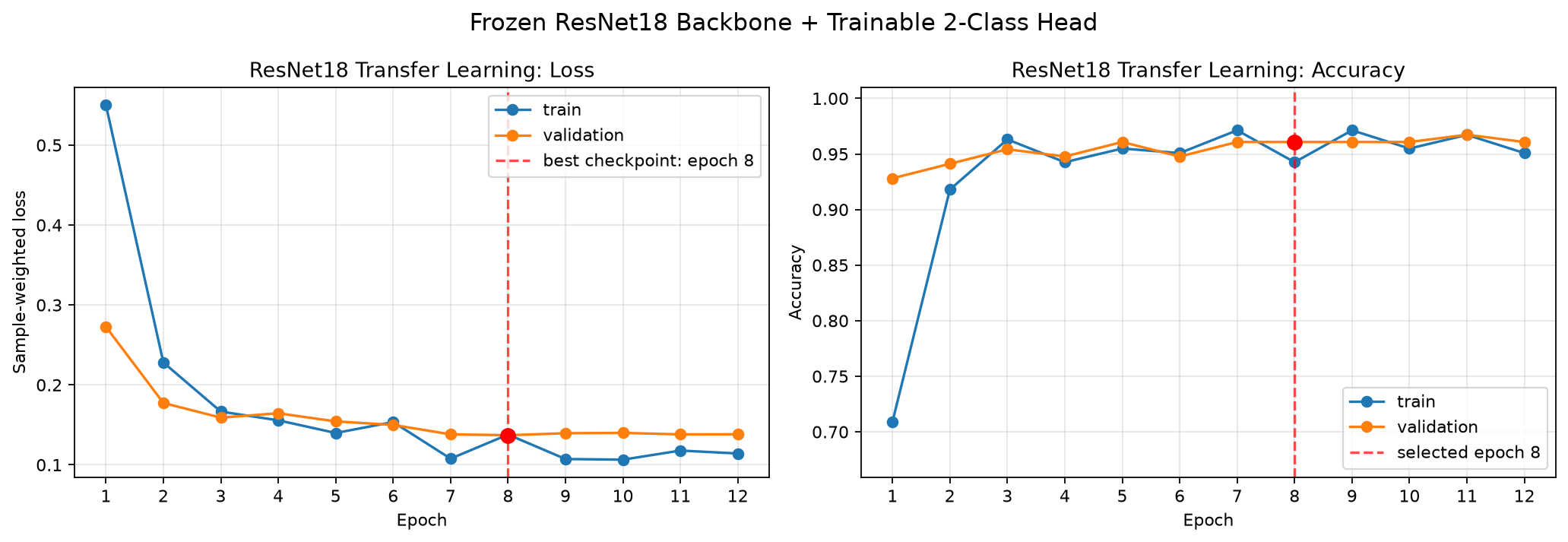 Day 5 training curves